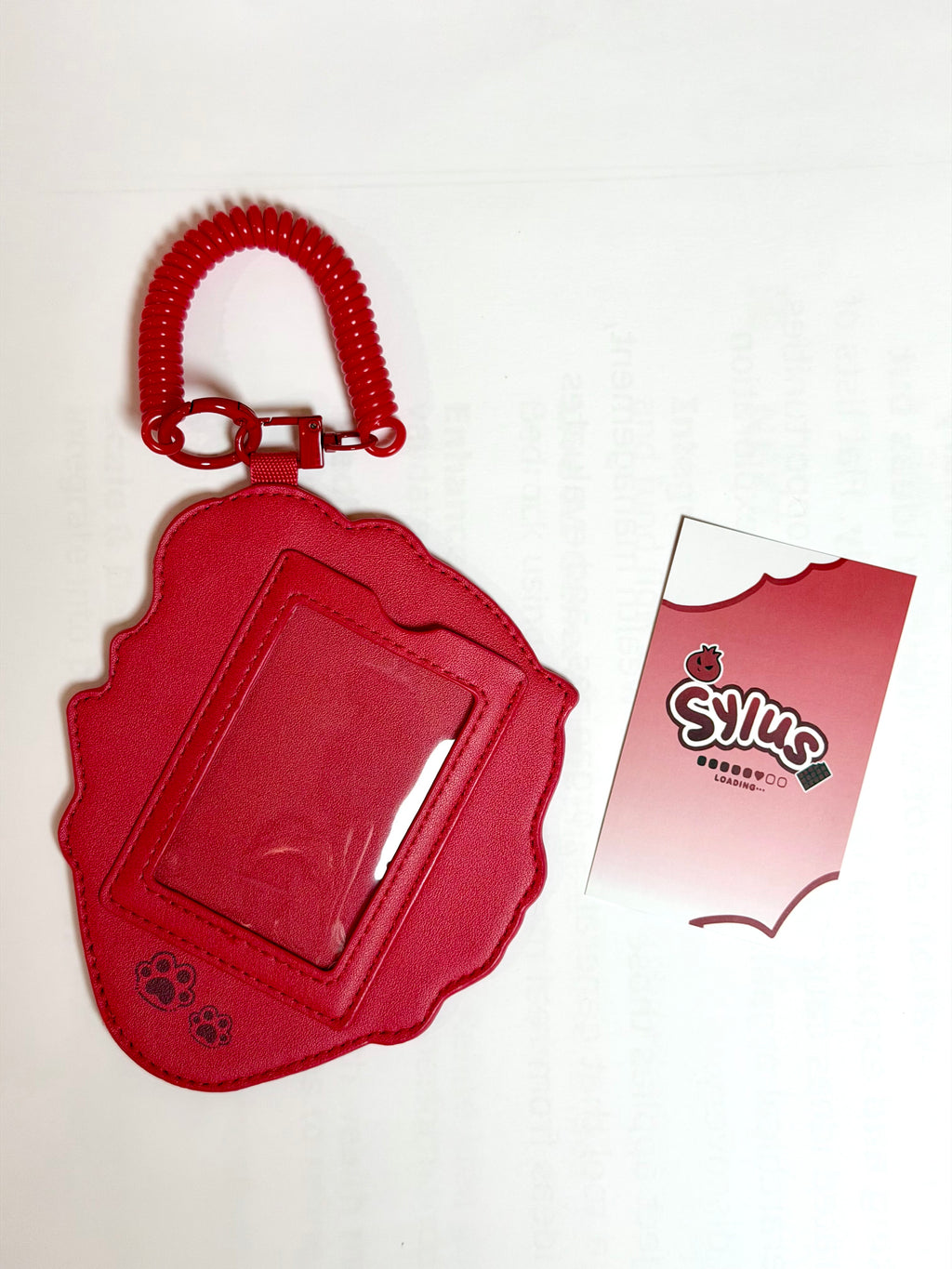 Sweet Card Holder Keychain & Photo Card Set Fanmade Love and Deepspace